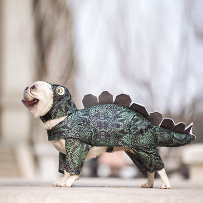 Pet dinosaur clothes