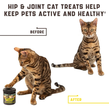 Natural Glucosamine for Cats   Effective Cat Joint Supplement That Helps Improve