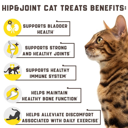 Natural Glucosamine for Cats   Effective Cat Joint Supplement That Helps Improve