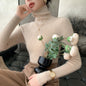 Autumn And Winter Pullover Inner Bottoming Shirt Tight Stretch Women's